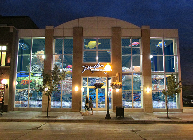 Image of an aquarium behind a building's windows.
