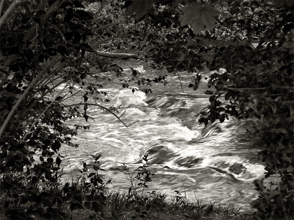 Photo of a landscape in Rochester, Michigan.
