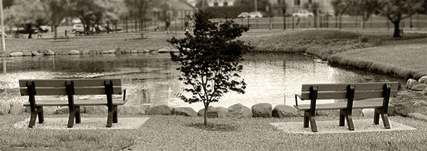 Photo of a landscape in Rochester, Michigan.