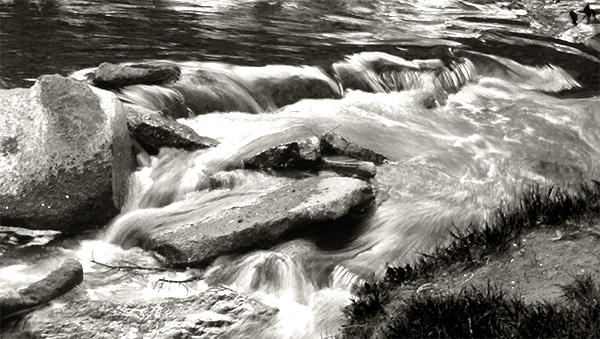 Photo of a landscape in Rochester, Michigan.