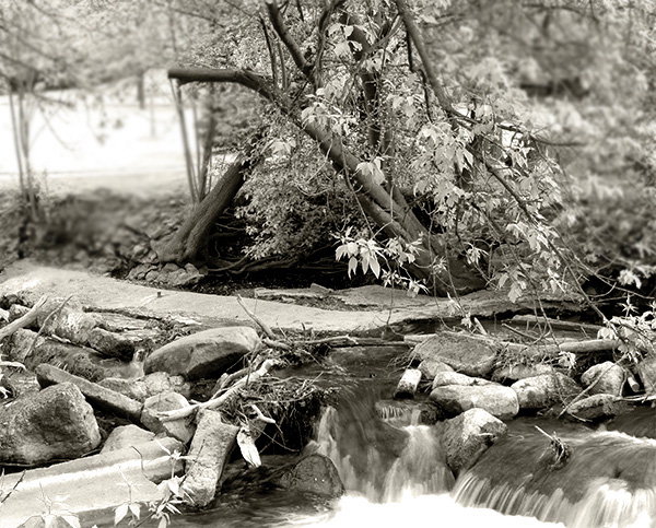 Photo of a landscape in Rochester, Michigan.