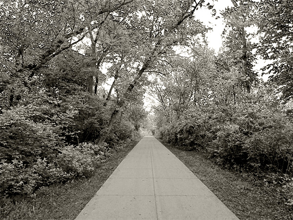 Photo of a landscape in Rochester, Michigan.