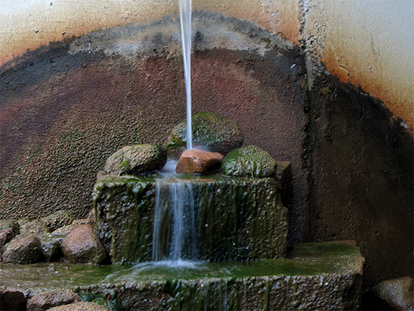 Photo of a landscape in Rochester, Michigan.