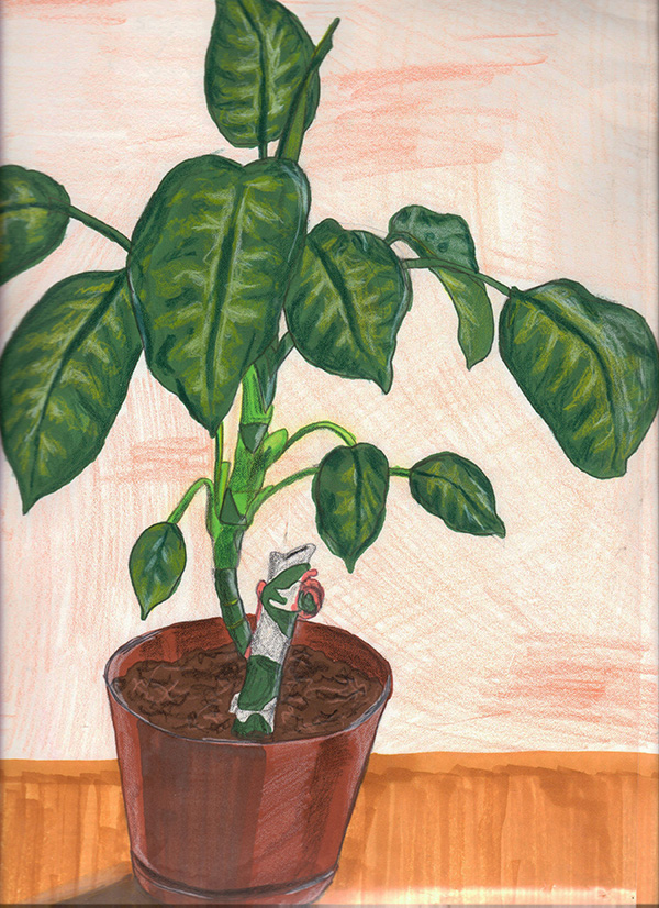 Early still life drawing.